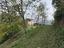 Immagine 11