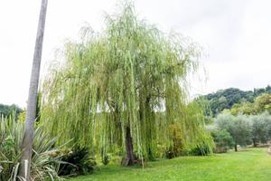 Casa indipendente di 840 m² con più di 5 locali a 