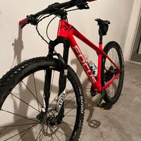 Bici Focus Raven