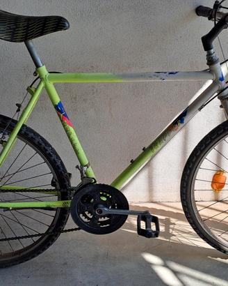 Bicicletta MTB mountain Bike anni 90