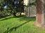 Immagine 25