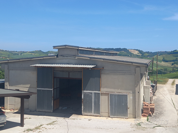 Capannone commerciale