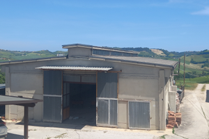 Capannone commerciale