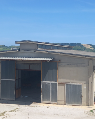 Capannone commerciale