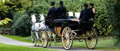 CARROZZA cavalli LANDAU in paglia di Vienna