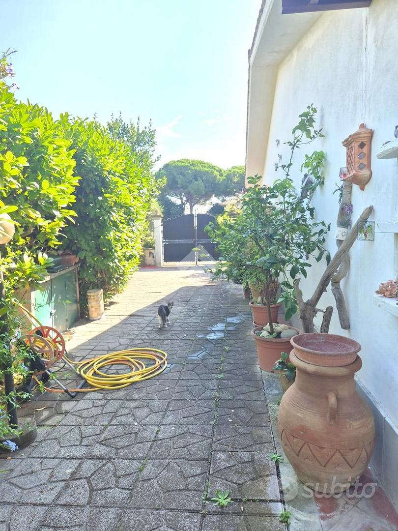 Casa – Tarquinia, Marina Velca - Vista 5