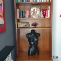 Libreria  marca Selva