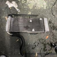 Radiatore Derbi terra 125