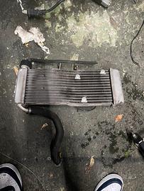 Radiatore Derbi terra 125