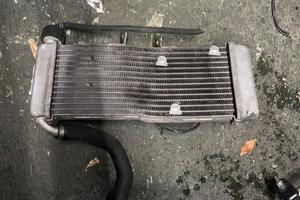 Radiatore Derbi terra 125