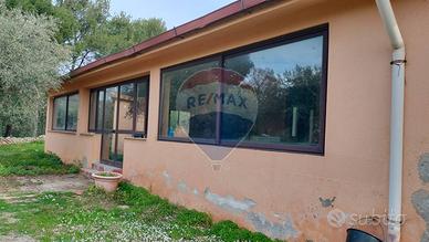 Camping Area - Terrasini