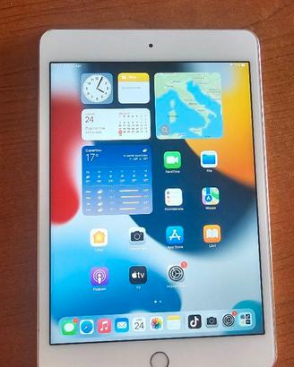 Apple IPad mini 4 128 Gb