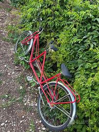 Bicicletta 2 posti chesini