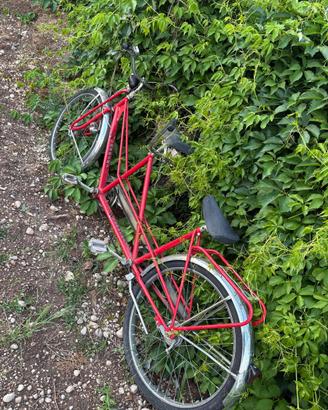 Bicicletta 2 posti chesini