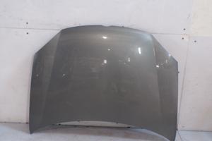 Cofano Anteriore Volkswagen  Golf 5 2005