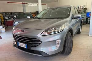 Ford Kuga 1.5 EcoBlue 120 CV 2WD Titanium Business