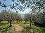 Immagine 25
