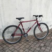 Bicicletta mtb 