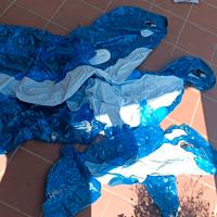 Mare, salvagente, delfini, scarpette