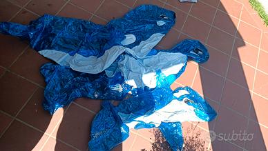 Mare, salvagente, delfini, scarpette