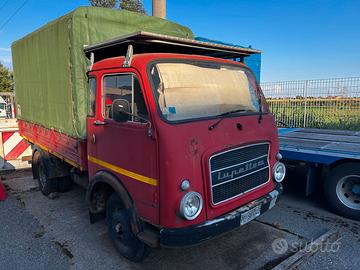 autocarro  om lupetto