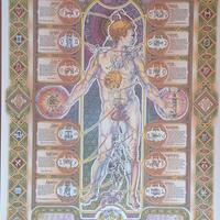 Poster Micro Cosmus Esoterico Vintage 68x98cm