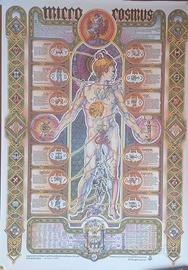Poster Micro Cosmus Esoterico Vintage 68x98cm