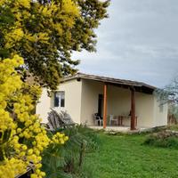 Villino singolo e terreno