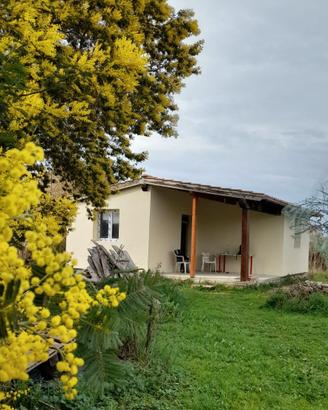 Villino singolo e terreno