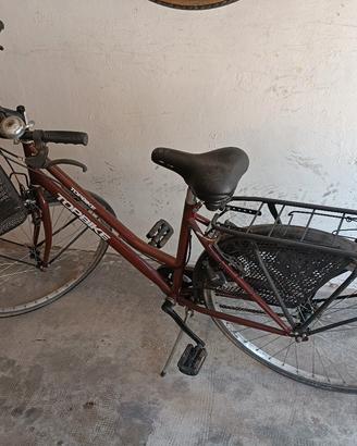 Bici donna stile olandese 