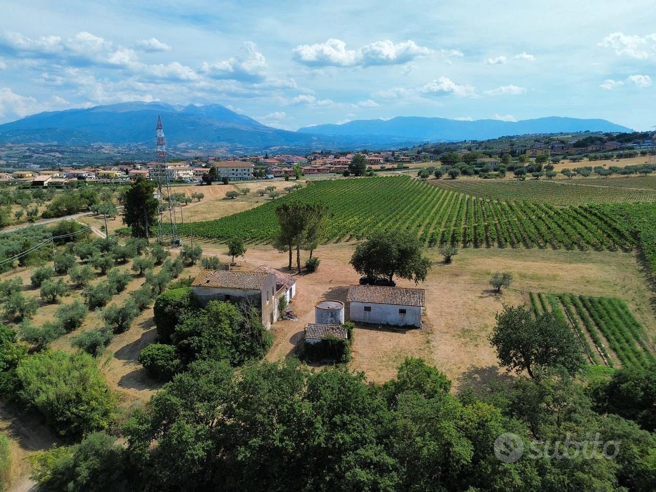 Casale - fattoria - con uliveti - Vista 2