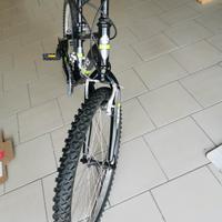 bicicletta bolt regina mis. 24