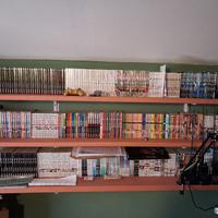 manga e artbook 