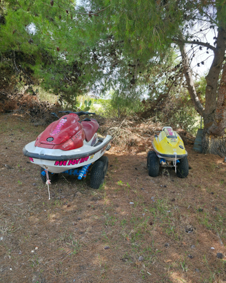 Jet ski + wave runner 700