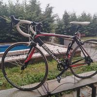 Bici da corsa Bianchi Impulso C2C