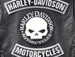 Tris Toppe Harley Davidson Termoadesive per Gilet