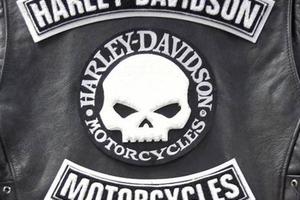 Tris Toppe Harley Davidson Termoadesive per Gilet