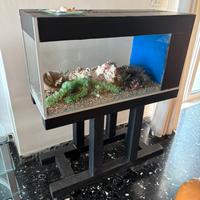 Acquario in vetro con mobile in legno