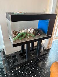 Acquario in vetro con mobile in legno
