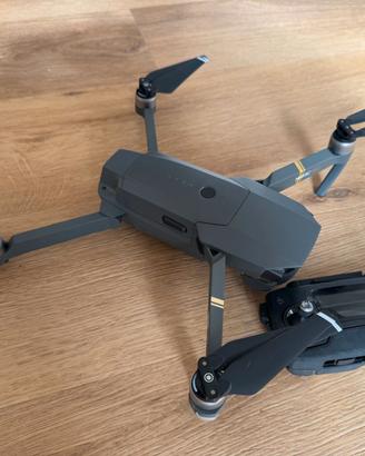 DJI Mavic Pro + 2 batterie e custodie
