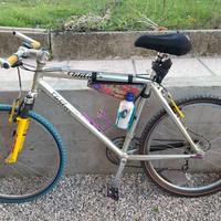 mountain bike wiler triestina parti in titanio