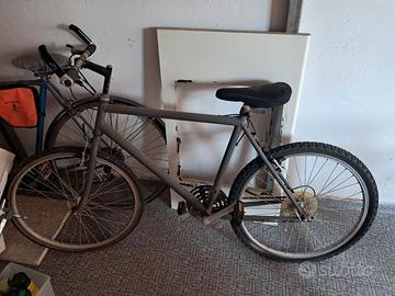 Bici uomo Bottecchia