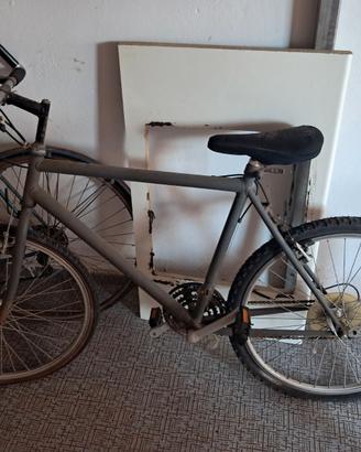 Bici uomo Bottecchia