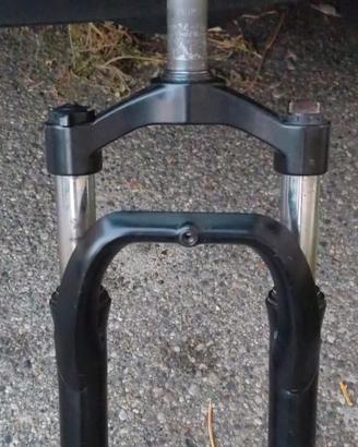 Forcelle Bici elettrica Reset
