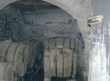 Ischia Forio Via Santa Maria al Monte Rif. 999V