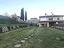 Immagine 7