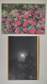 Fotografie d'autore A3 per arredare e collezione 