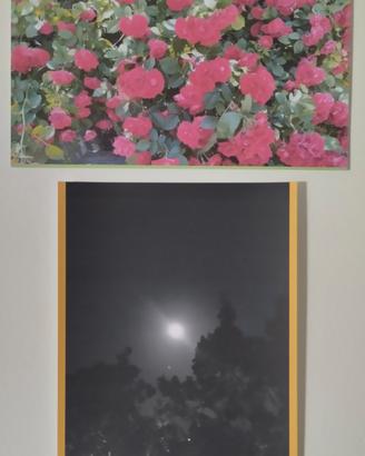 Fotografie d'autore A3 per arredare e collezione 
