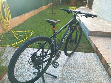 mtb specialized carve 