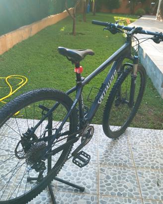 mtb specialized carve 